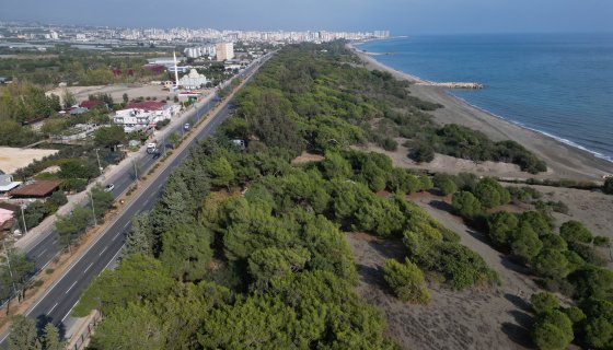 Çamlık 2. Etap Ekolojik Kamping Projesi
